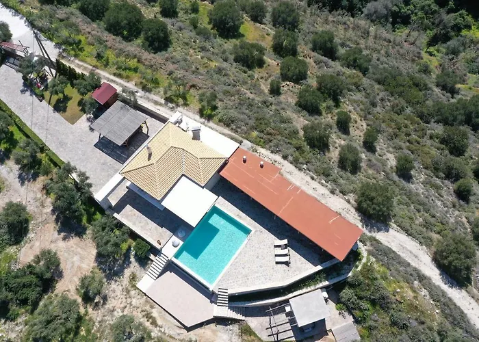 Olive Grove