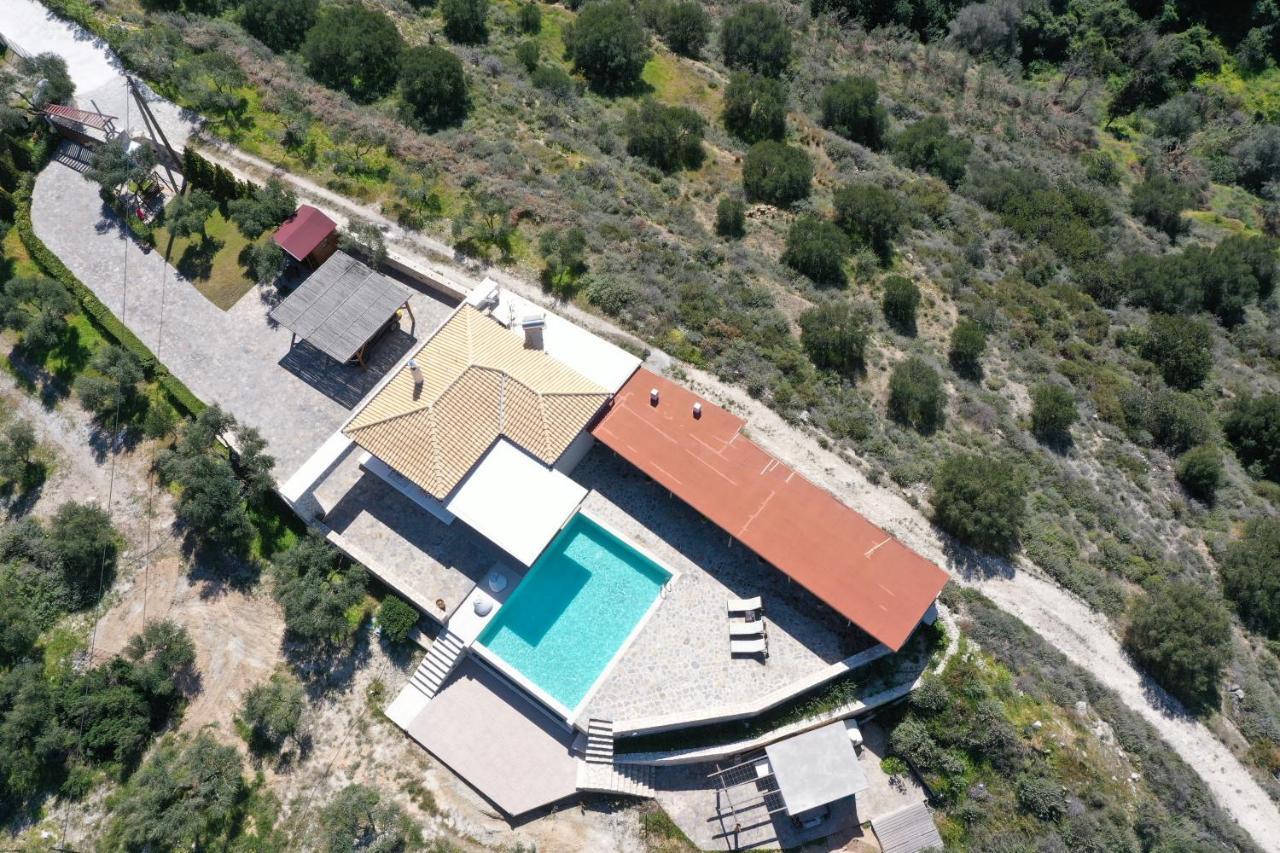Olive Grove