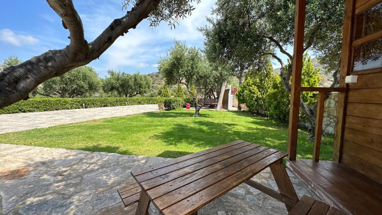 Olive Grove Villa *
